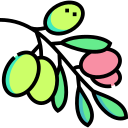 aceitunas icon