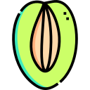 hueso de aceituna icon