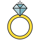 anillo icon