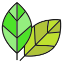 naturaleza icon