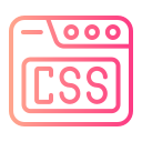 css 