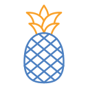 piña icon