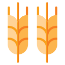 trigo icon