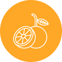 naranja icon