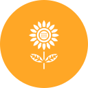 girasol icon