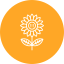 girasol icon