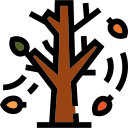 árbol de otoño icon