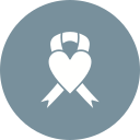 cinta icon