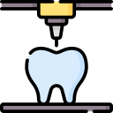 modelo dental