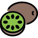 kiwi icon