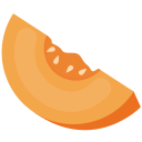 semilla de calabaza icon