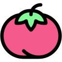 tomate icon