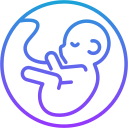 obstetricia icon