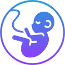 obstetricia icon