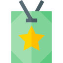 vip icon