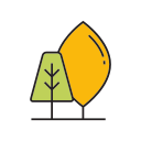 plantar 