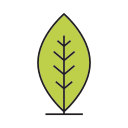 natureza 
