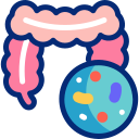 microbiota intestinal 