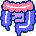 intestinos animated icon