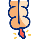 apendicitis animated icon