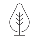 Park icon