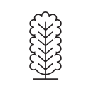 Park icon