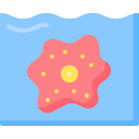 Amoeba icon