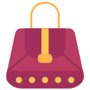 bolso icon