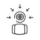 cerebro 