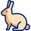 conejo icon