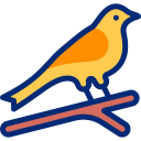 pájaro icon