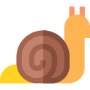 caracol icon