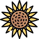 girassol icon
