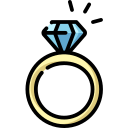 anillo icon