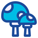 hongos icon