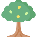 Olive tree icon