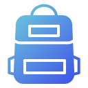 bolsa icon