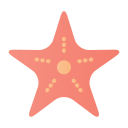 estrella de mar