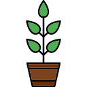 planta icon