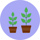 cultivar planta icon