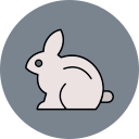 conejo icon