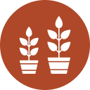 cultivar planta icon