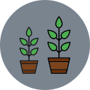 cultivar planta icon