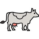 vaca