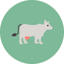 vaca icon