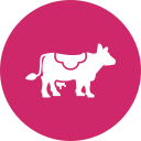 vaca icon