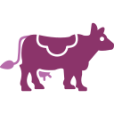 vaca icon