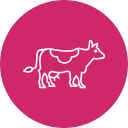 vaca icon