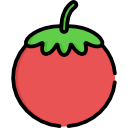 tomate icon