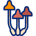 hongos icon